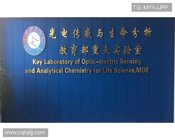 上海排球队在洲际杯中的心理素质分析与表现评估