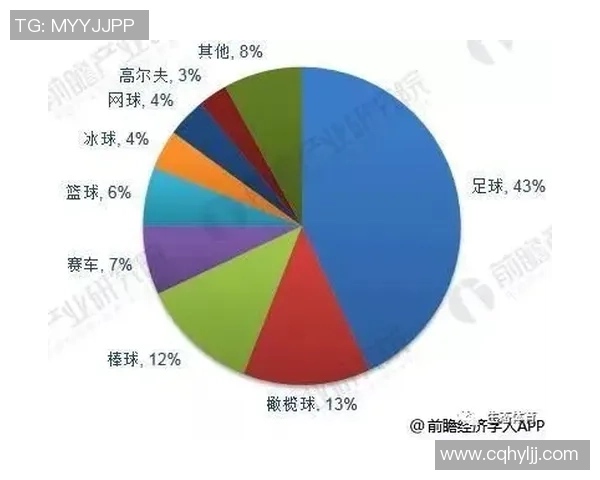 昆明足球明星全景盘点及其成就与影响力分析 昆明足球明星全景盘点及其成就与影响力分析