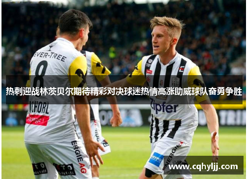 热刺迎战林茨贝尔期待精彩对决球迷热情高涨助威球队奋勇争胜